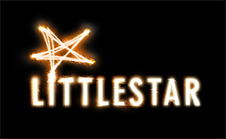 LittleStar Services  logo